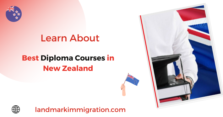 Best Diploma Courses in New Zealand | Landmark Immigration