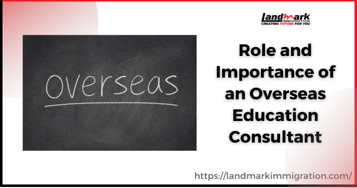 Overseas Consultant: Know the Role and Importance