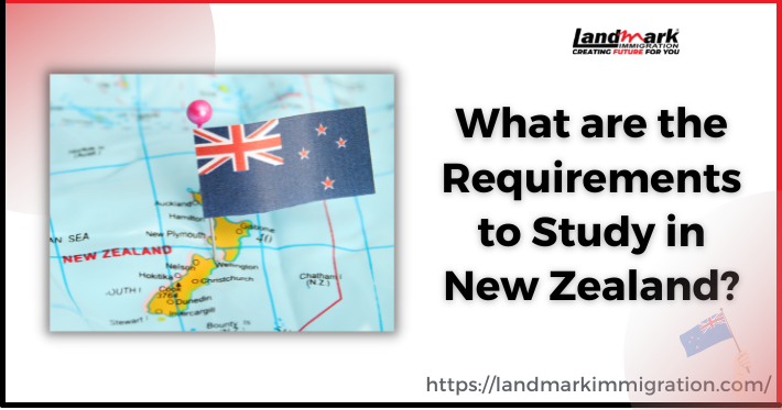 Requirements to Study in New Zealand [Updated 2023]
